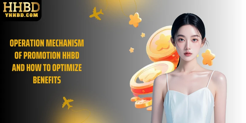 Operation mechanism of Promotion HHBD and how to optimize benefits